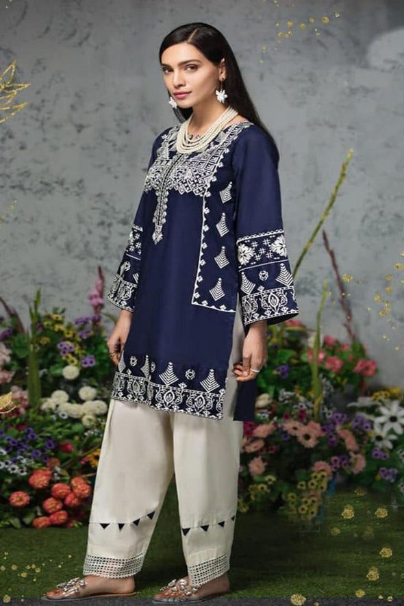 2 Piece Embroidered Dhanak Suit Unstitched | HEW-38