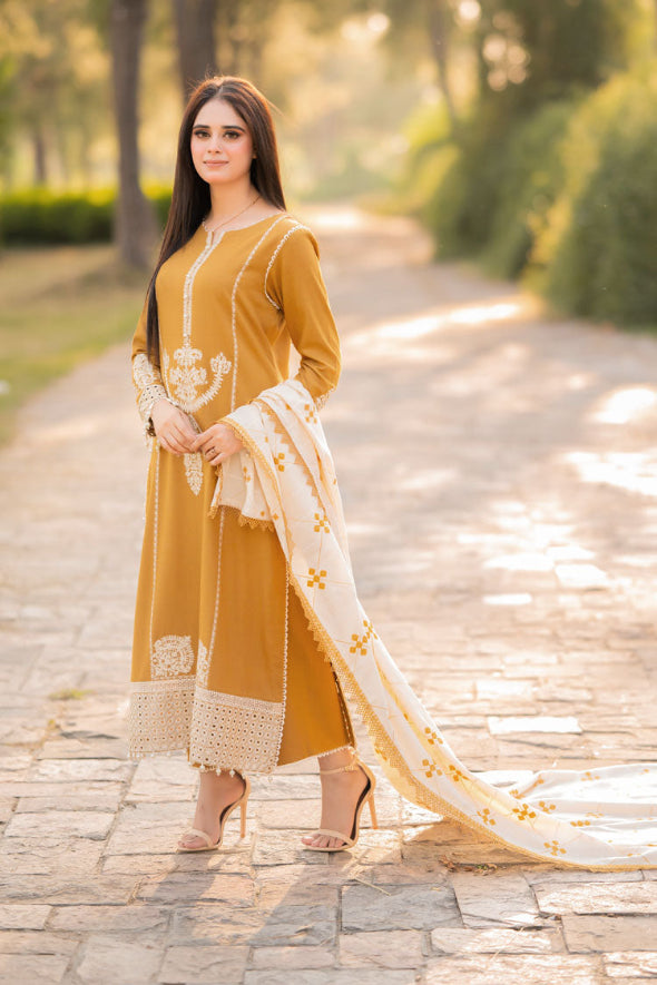 3 Piece Embroidered Dhanak Suit Unstiched | HEW-49