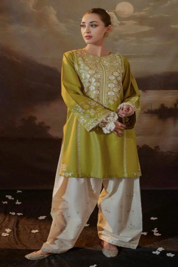 2 Piece Embroidered Dhanak Suit Unstitched | HEW-43
